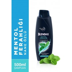 BLENDAX ERKEKLER İÇİN MENTOLLÜ ŞAMPUAN 500 ML.