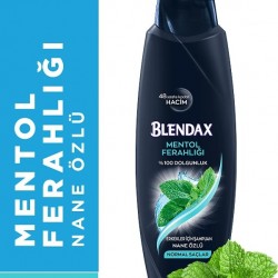 BLENDAX ERKEKLER İÇİN MENTOLLÜ ŞAMPUAN 500 ML.